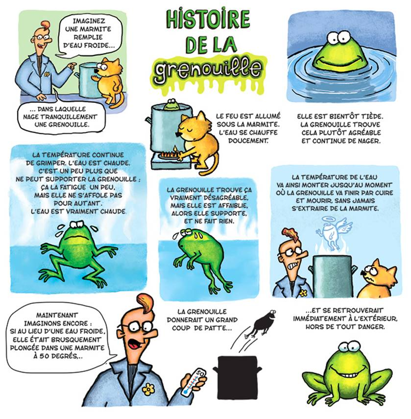 planchegrenouille