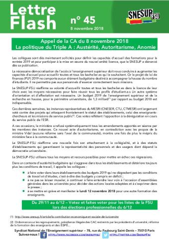 La politique du Triple A : Austérité, Autoritarisme, Anomie - Lettre Flash n° 45, 8 novembre 2018