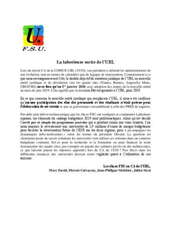 La laborieuse sortie de l’UBL -  Communiqué des élu.e.s FSU au CA de l'Université Bretagne Loire, 17 octobre 2018