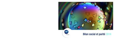 Rapport bilan social parité CNRS 2014